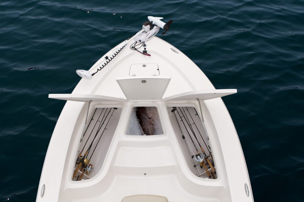 Robalo 206 Cayman Bow Storage